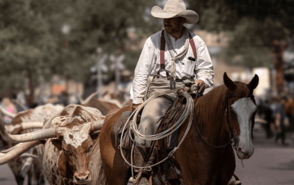 What are the roles of different team members in team roping events?