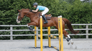 How can riders improve their horse's jumping technique and form?