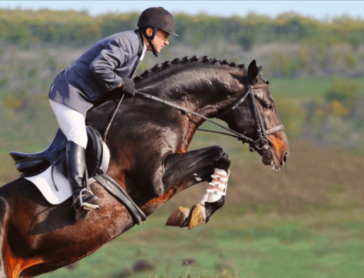 How can riders improve their horse's jumping technique and form?