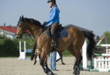 How can riders improve their horse's speed and agility for gymkhana?