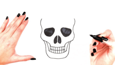 Easy:5h-Yxic24pq= Skull Drawing