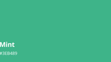 Color:Cw370xdatge= Mint