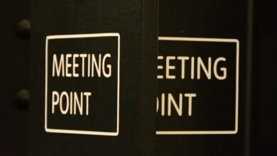 consolidated data snapshot overview