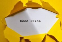 brand infrastructure for longevity