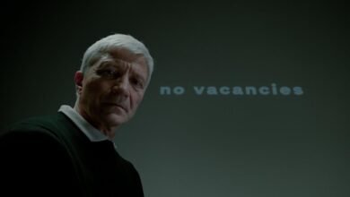 organic growth search demand