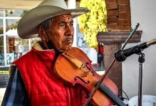 roi mastery in marketing