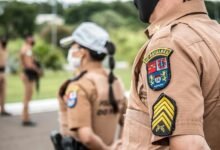 search authority control expansion