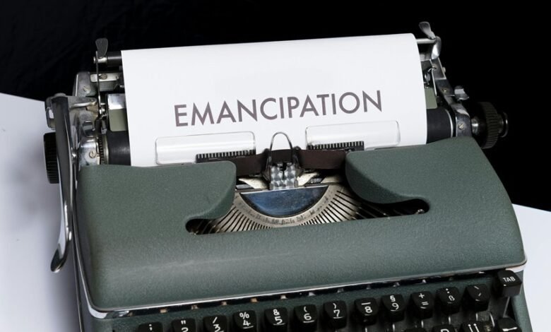 search impact content authority