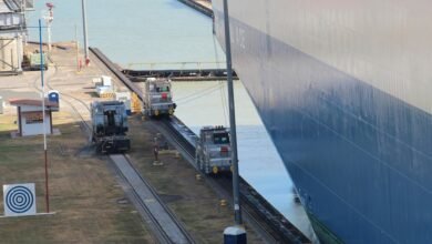 traffic diversity engineering strategy