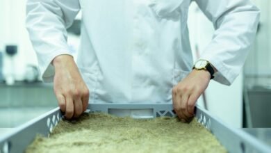 innovation for future growth