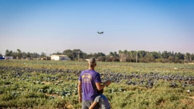 intelligent growth through innovation