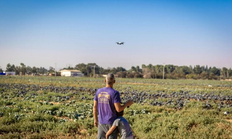 intelligent growth through innovation