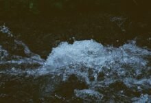 radiant momentum stream 662903742