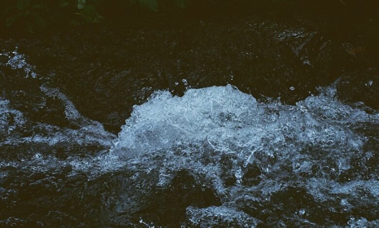 radiant momentum stream 662903742