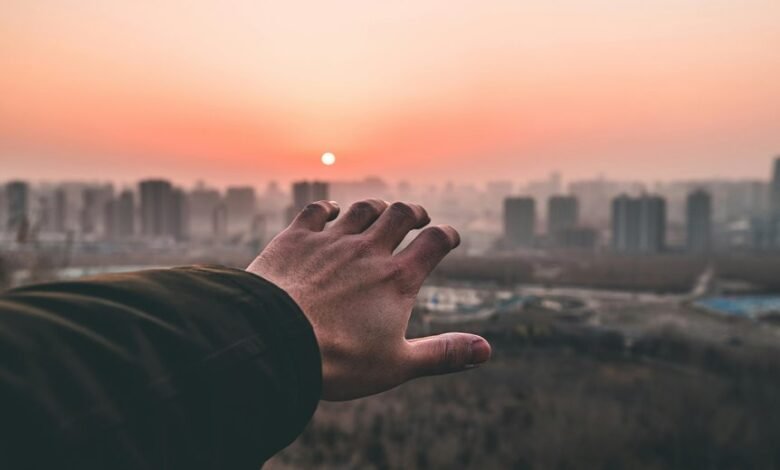 amplify reach lens horizon