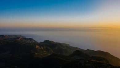 elevate online prism horizon