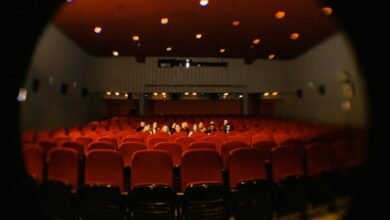 expand audience for lens horizon