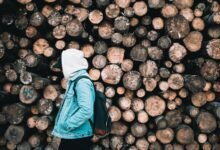 digital log analysis usernames and safety check