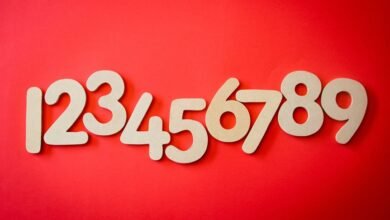 list of phone numbers extracted
