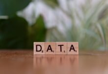 number registry lookup for multiple 10 digit numbers