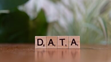 number registry lookup for multiple 10 digit numbers