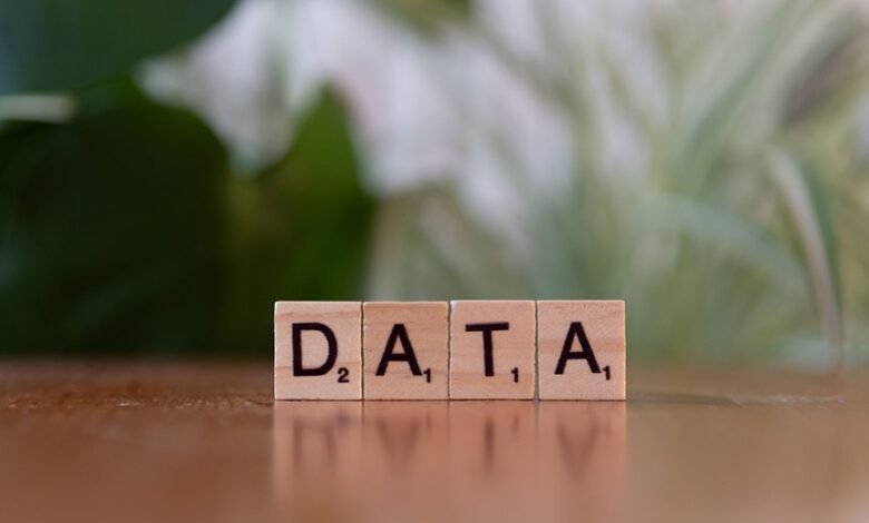 number registry lookup for multiple 10 digit numbers
