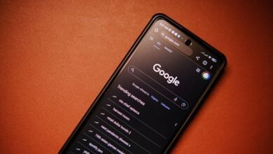phone numbers and identity search results
