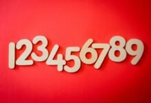 phone numbers list compiled here