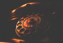 phone numbers search results details