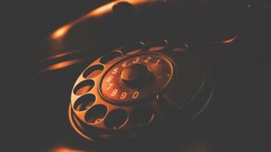 phone numbers search results details