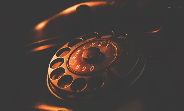 phone numbers search results details