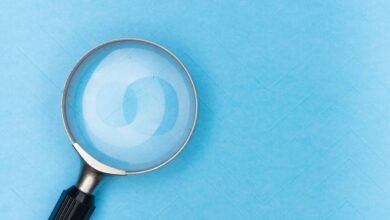 search registry insights by ids