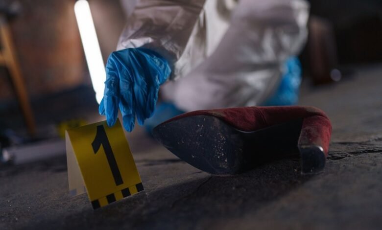 verified registry evidence ids 3510727358 3701128978 3270639688 3533837149 3792578697
